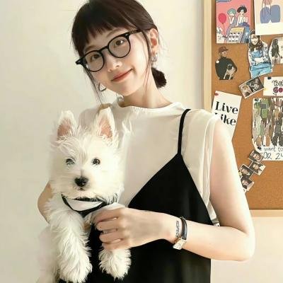 捕狼行动